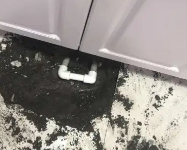 天长查漏水哪家好